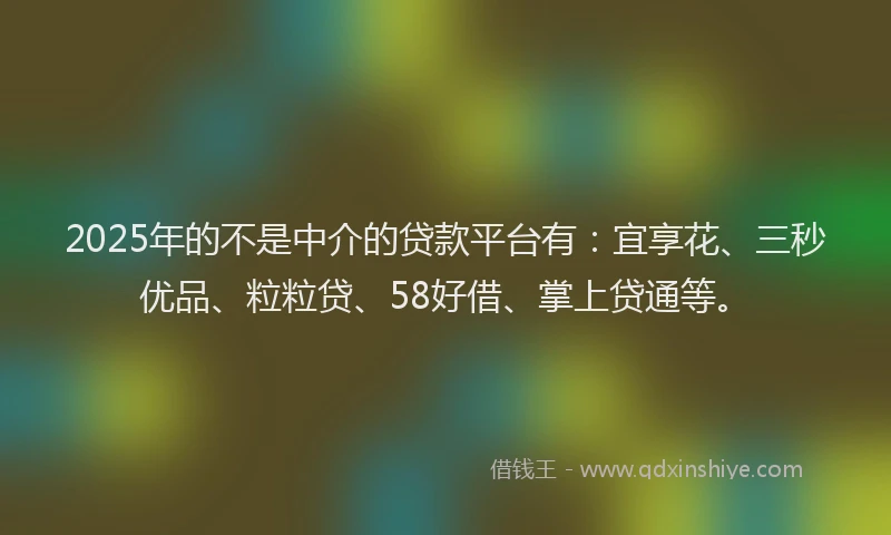 2025年的不是中介的贷款平台有：宜享花、三秒优品、粒粒贷、58好借、掌上贷通等。