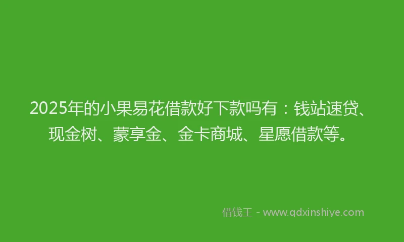2025年的小果易花借款好下款吗有：钱站速贷、现金树、蒙享金、金卡商城、星愿借款等。