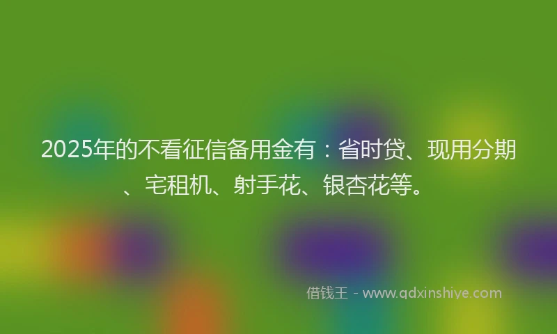 2025年的不看征信备用金有：省时贷、现用分期、宅租机、射手花、银杏花等。