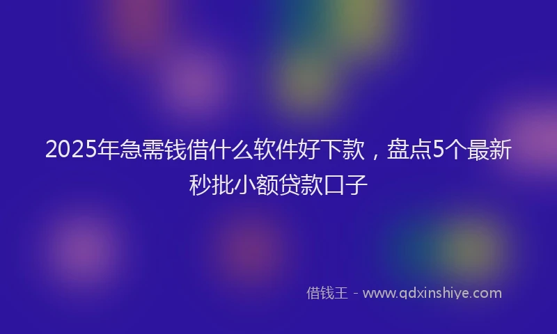 2025年急需钱借什么软件好下款，盘点5个最新秒批小额贷款口子