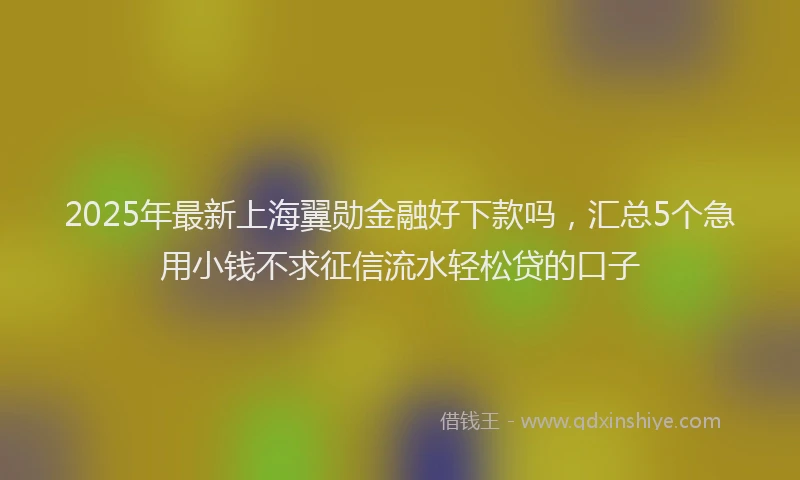 2025年最新上海翼勋金融好下款吗，汇总5个急用小钱不求征信流水轻松贷的口子