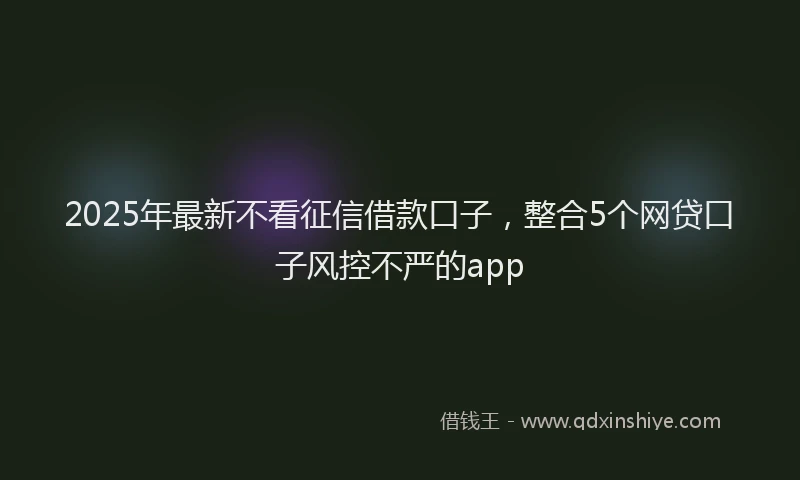2025年最新不看征信借款口子，整合5个网贷口子风控不严的app