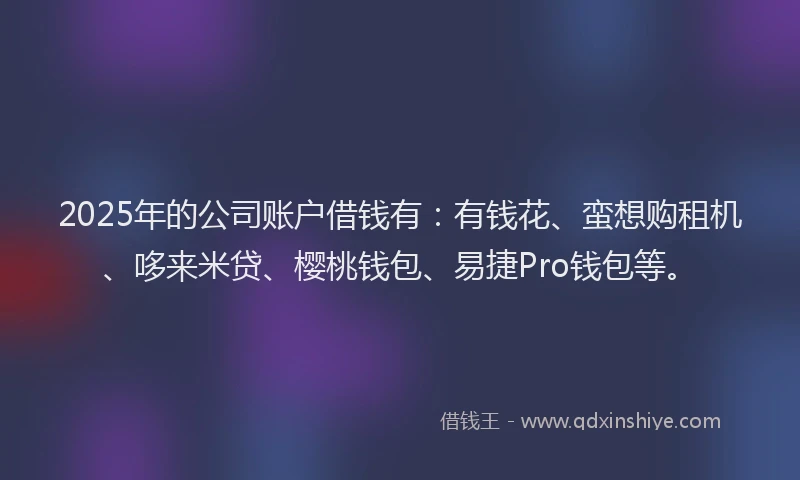 2025年的公司账户借钱有：有钱花、蛮想购租机、哆来米贷、樱桃钱包、易捷Pro钱包等。