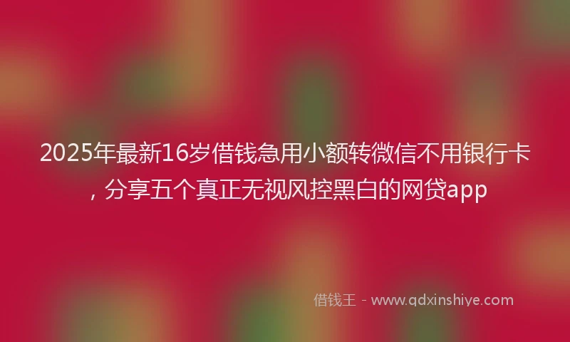 2025年最新16岁借钱急用小额转微信不用银行卡，分享五个真正无视风控黑白的网贷app