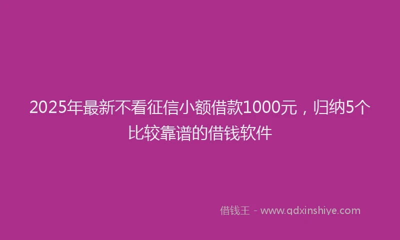 2025年最新不看征信小额借款1000元，归纳5个比较靠谱的借钱软件