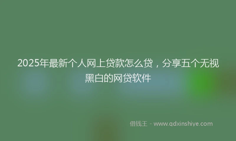 2025年最新个人网上贷款怎么贷，分享五个无视黑白的网贷软件