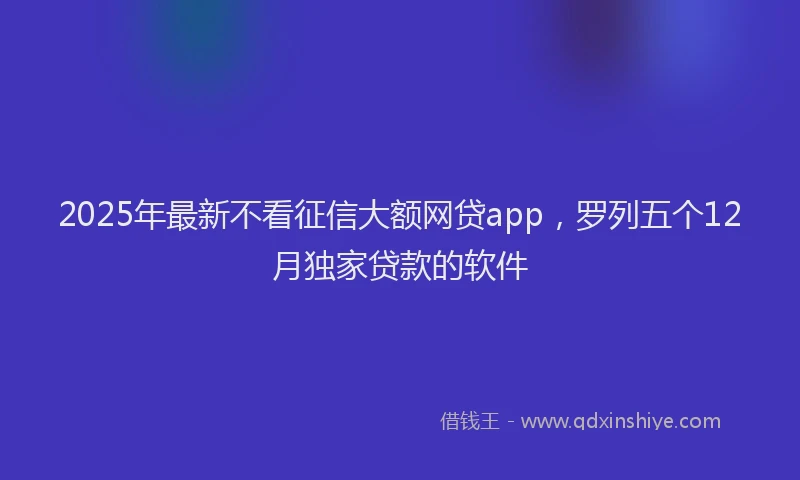 2025年最新不看征信大额网贷app，罗列五个12月独家贷款的软件