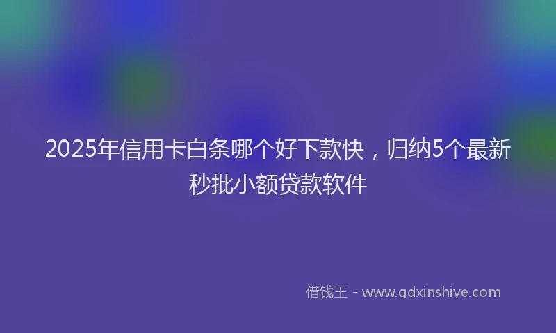 2025年信用卡白条哪个好下款快，归纳5个最新秒批小额贷款软件