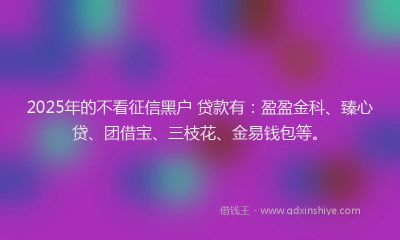 2025年的不看征信黑户 贷款有：盈盈金科、臻心贷、团借宝、三枝花、金易钱包等。