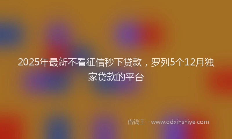 2025年最新不看征信秒下贷款，罗列5个12月独家贷款的平台