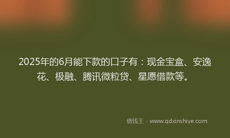 2025年的6月能下款的口子有：现金宝盒、安逸花、极融、腾讯微粒贷、星愿借款等。