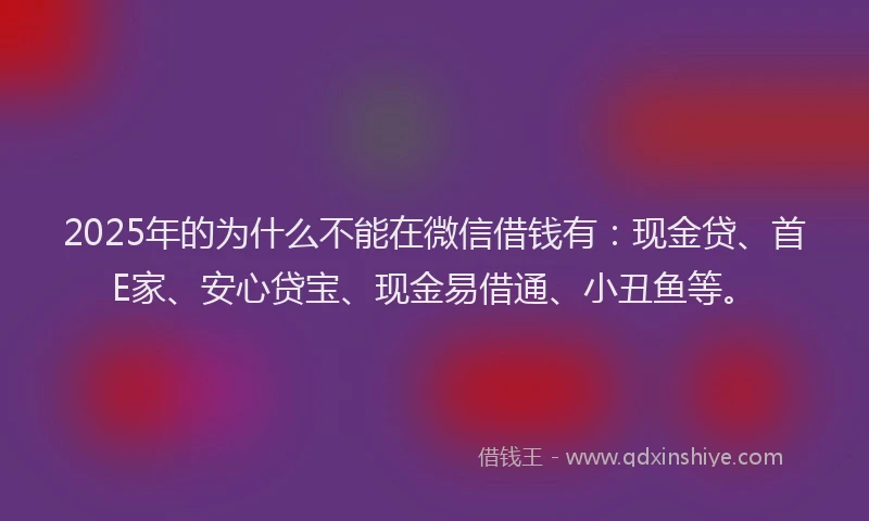 2025年的为什么不能在微信借钱有：现金贷、首E家、安心贷宝、现金易借通、小丑鱼等。