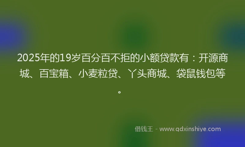 2025年的19岁百分百不拒的小额贷款有：开源商城、百宝箱、小麦粒贷、丫头商城、袋鼠钱包等。
