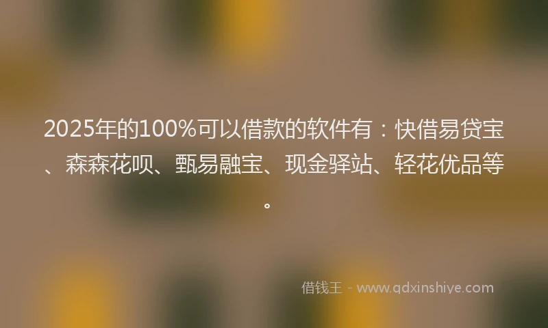 2025年的100%可以借款的软件有：快借易贷宝、森森花呗、甄易融宝、现金驿站、轻花优品等。