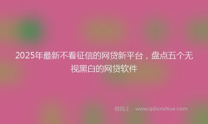 2025年最新不看征信的网贷新平台，盘点五个无视黑白的网贷软件