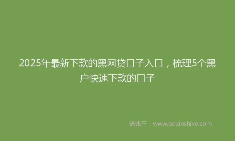 2025年最新下款的黑网贷口子入口，梳理5个黑户快速下款的口子