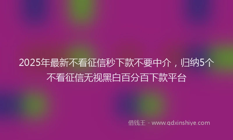 2025年最新不看征信秒下款不要中介，归纳5个不看征信无视黑白百分百下款平台