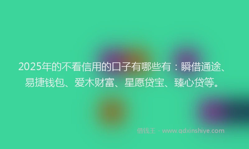 2025年的不看信用的口子有哪些有：瞬借通途、易捷钱包、爱木财富、星愿贷宝、臻心贷等。