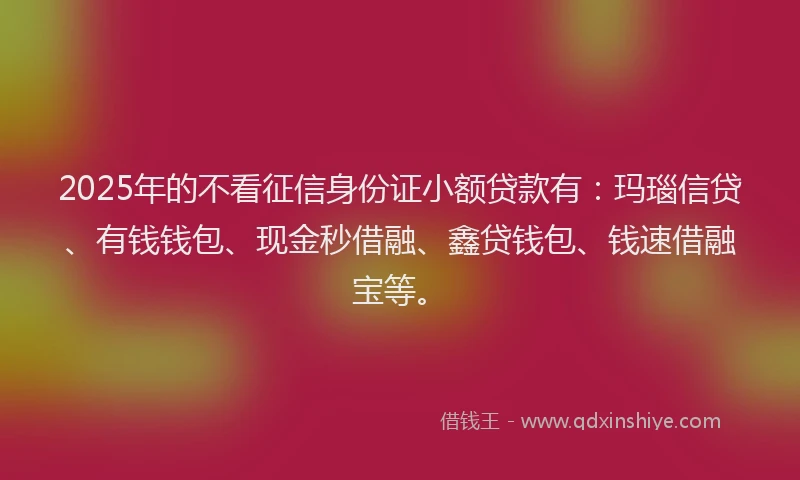 2025年的不看征信身份证小额贷款有：玛瑙信贷、有钱钱包、现金秒借融、鑫贷钱包、钱速借融宝等。