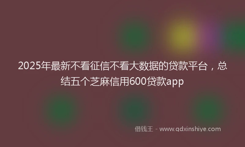 2025年最新不看征信不看大数据的贷款平台，总结五个芝麻信用600贷款app