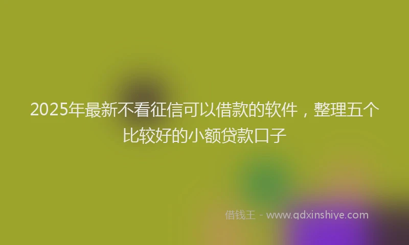 2025年最新不看征信可以借款的软件，整理五个比较好的小额贷款口子