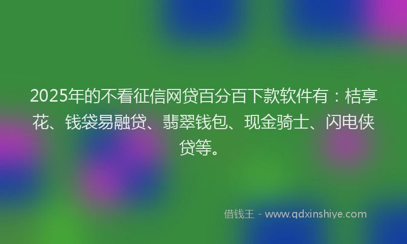 2025年的不看征信网贷百分百下款软件有：桔享花、钱袋易融贷、翡翠钱包、现金骑士、闪电侠贷等。