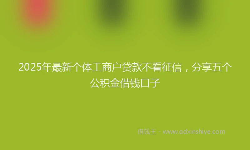 2025年最新个体工商户贷款不看征信，分享五个公积金借钱口子