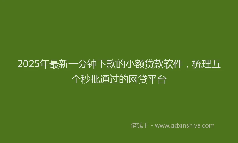 2025年最新一分钟下款的小额贷款软件，梳理五个秒批通过的网贷平台