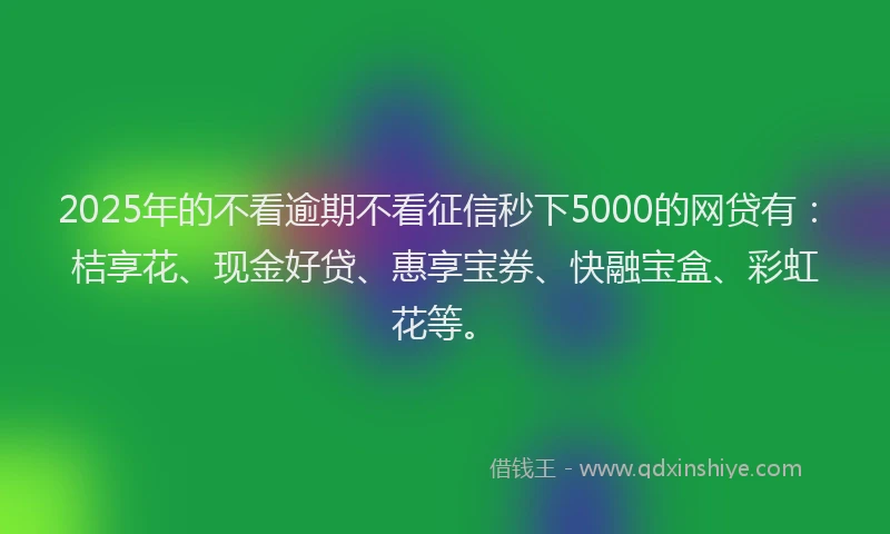 2025年的不看逾期不看征信秒下5000的网贷有：桔享花、现金好贷、惠享宝券、快融宝盒、彩虹花等。