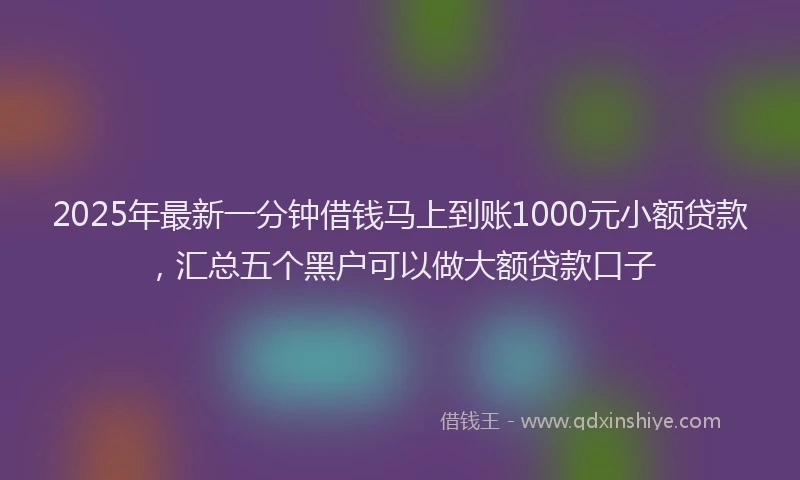 2025年最新一分钟借钱马上到账1000元小额贷款，汇总五个黑户可以做大额贷款口子