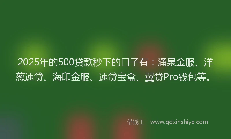 2025年的500贷款秒下的口子有：涌泉金服、洋葱速贷、海印金服、速贷宝盒、翼贷Pro钱包等。