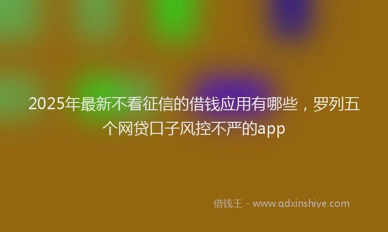 2025年最新不看征信的借钱应用有哪些，罗列五个网贷口子风控不严的app