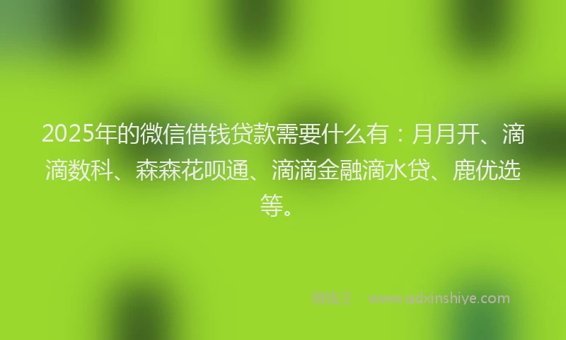 2025年的微信借钱贷款需要什么有：月月开、滴滴数科、森森花呗通、滴滴金融滴水贷、鹿优选等。