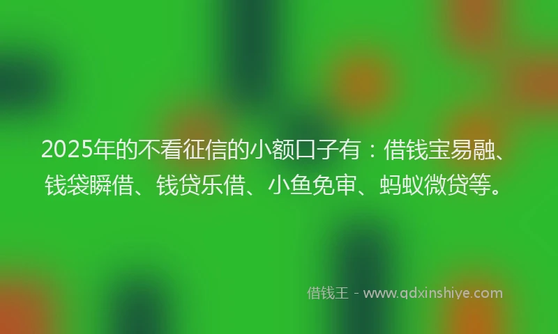 2025年的不看征信的小额口子有：借钱宝易融、钱袋瞬借、钱贷乐借、小鱼免审、蚂蚁微贷等。