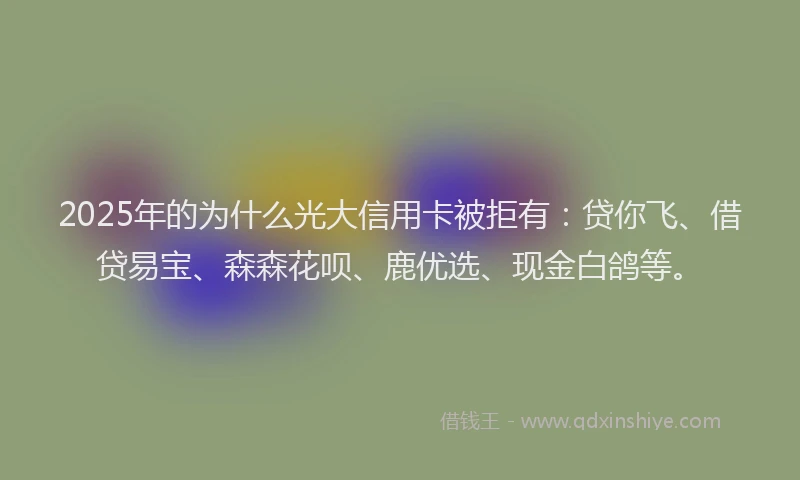 2025年的为什么光大信用卡被拒有：贷你飞、借贷易宝、森森花呗、鹿优选、现金白鸽等。