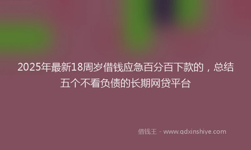 2025年最新18周岁借钱应急百分百下款的，总结五个不看负债的长期网贷平台