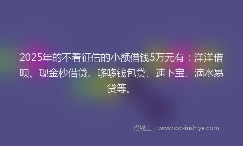 2025年的不看征信的小额借钱5万元有：洋洋借呗、现金秒借贷、哆哆钱包贷、速下宝、滴水易贷等。
