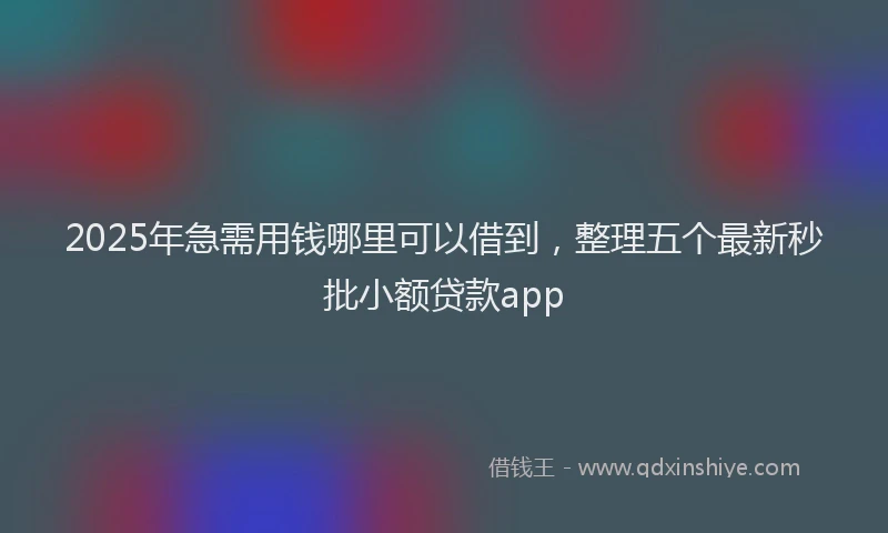2025年急需用钱哪里可以借到，整理五个最新秒批小额贷款app
