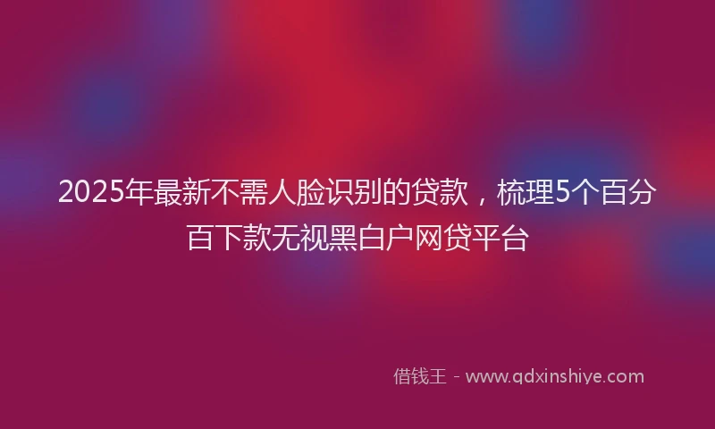 2025年最新不需人脸识别的贷款，梳理5个百分百下款无视黑白户网贷平台