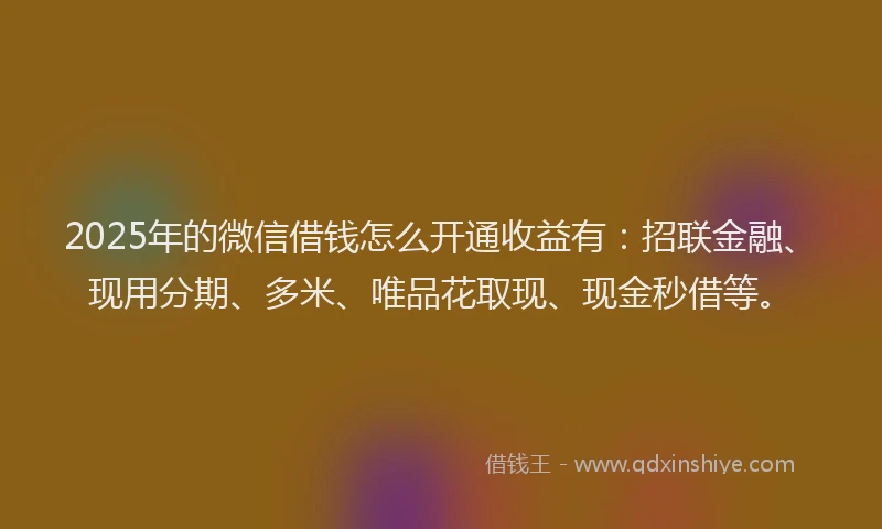 2025年的微信借钱怎么开通收益有：招联金融、现用分期、多米、唯品花取现、现金秒借等。