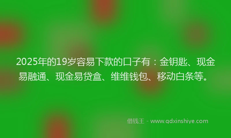 2025年的19岁容易下款的口子有：金钥匙、现金易融通、现金易贷盒、维维钱包、移动白条等。