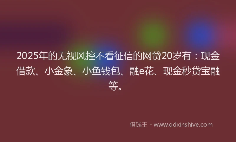 2025年的无视风控不看征信的网贷20岁有：现金借款、小金象、小鱼钱包、融e花、现金秒贷宝融等。