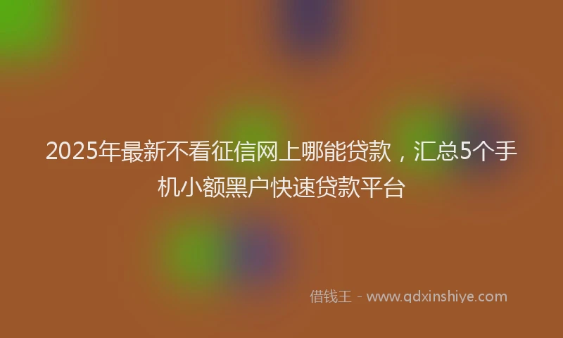 2025年最新不看征信网上哪能贷款，汇总5个手机小额黑户快速贷款平台