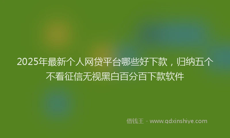 2025年最新个人网贷平台哪些好下款，归纳五个不看征信无视黑白百分百下款软件