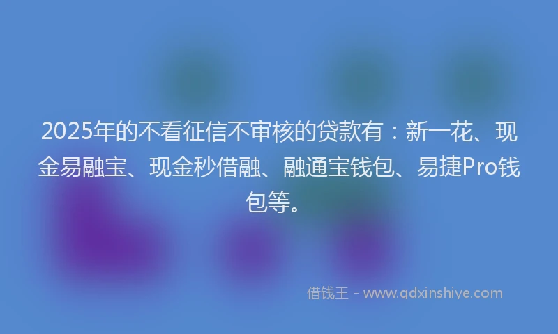 2025年的不看征信不审核的贷款有：新一花、现金易融宝、现金秒借融、融通宝钱包、易捷Pro钱包等。