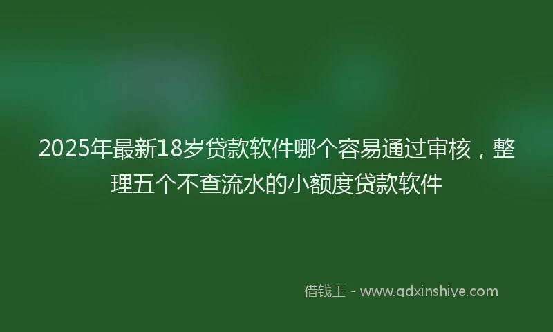 2025年最新18岁贷款软件哪个容易通过审核，整理五个不查流水的小额度贷款软件