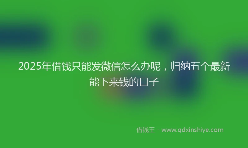 2025年借钱只能发微信怎么办呢，归纳五个最新能下来钱的口子