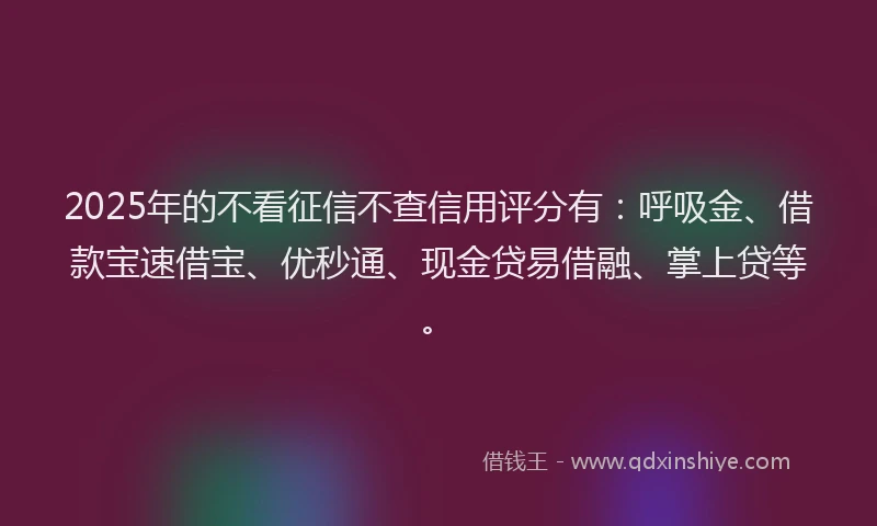 2025年的不看征信不查信用评分有：呼吸金、借款宝速借宝、优秒通、现金贷易借融、掌上贷等。