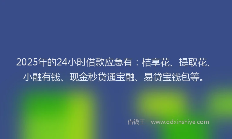 2025年的24小时借款应急有：桔享花、提取花、小融有钱、现金秒贷通宝融、易贷宝钱包等。