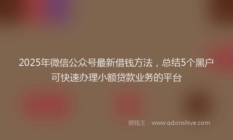 2025年微信公众号最新借钱方法，总结5个黑户可快速办理小额贷款业务的平台